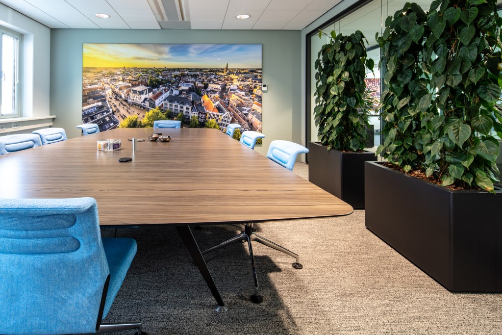 plas bossinade referentiefoto