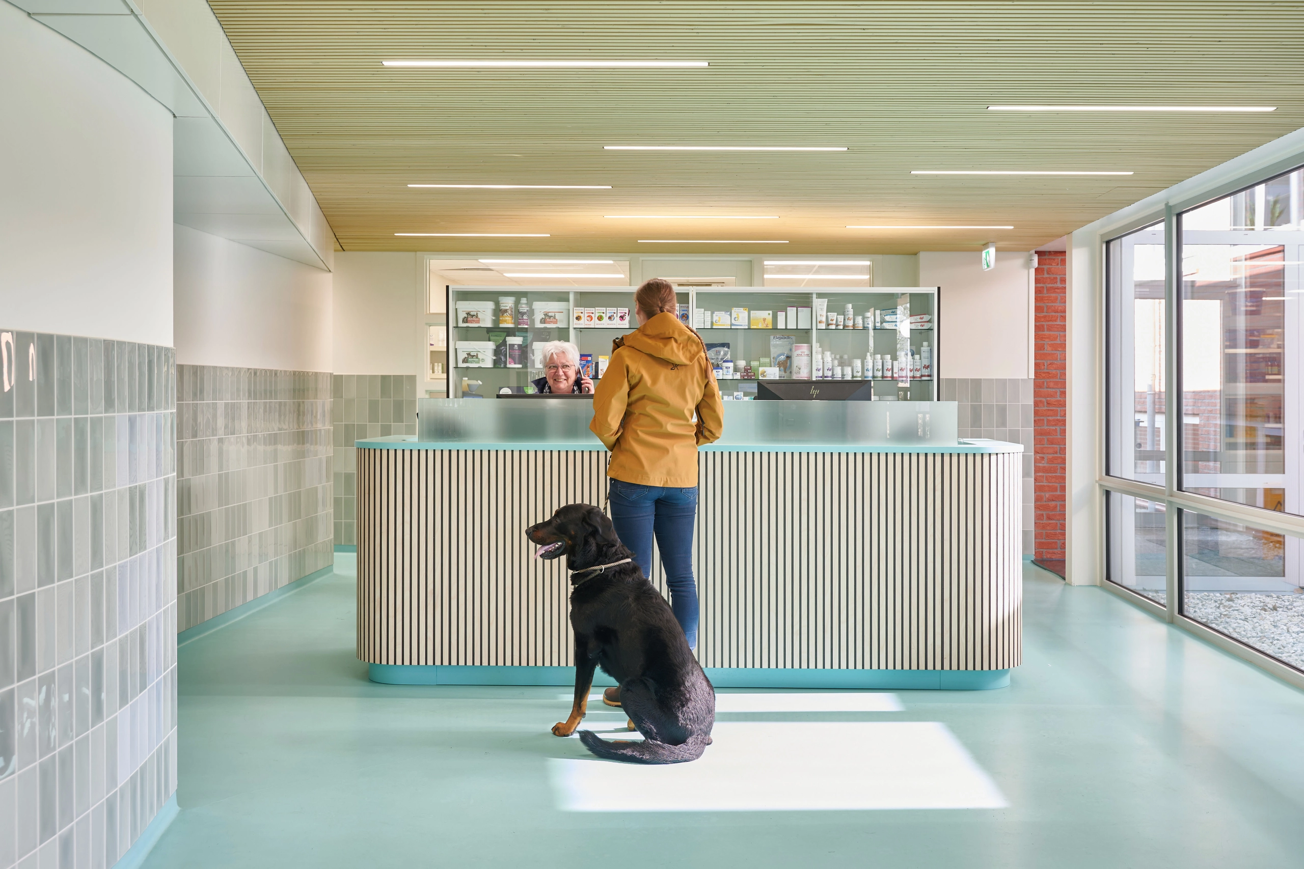 arts en dier, klijndijk